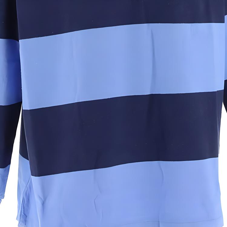 Polo Ralph Lauren Striped Polo Collar Long Sleeve T-Shirt Men Tops Blue 710918006000-001