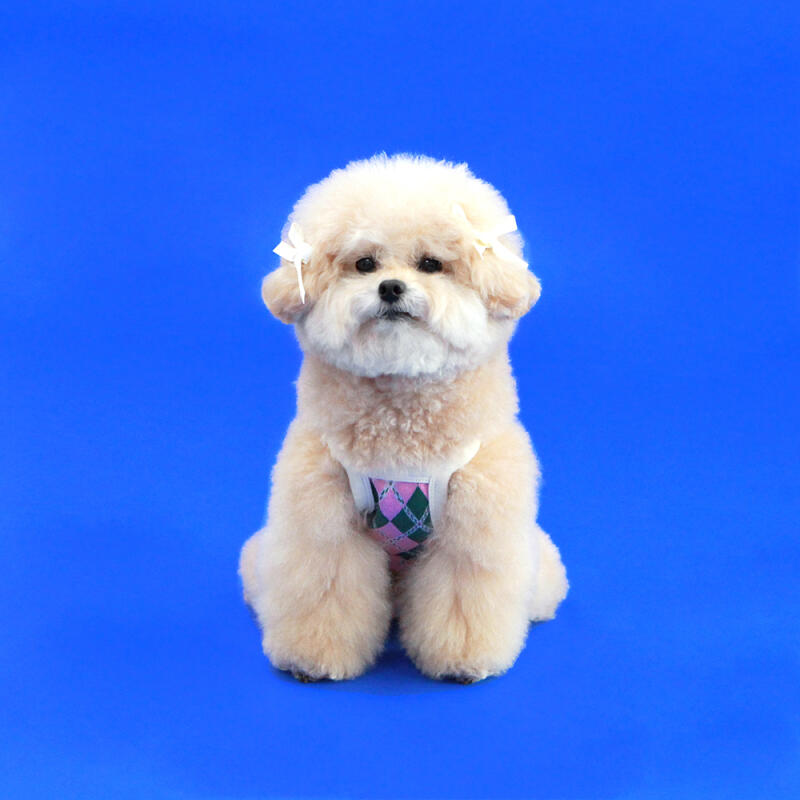 KINI ARGYLE PATTERN CROP TOP-PINK (Crop Top) XL