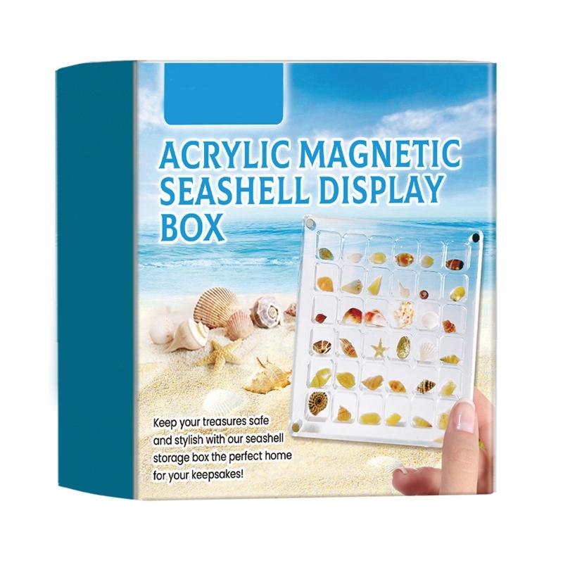 Clear Shells Display Case Seashells Storage Box for Home Decoration and Museums
