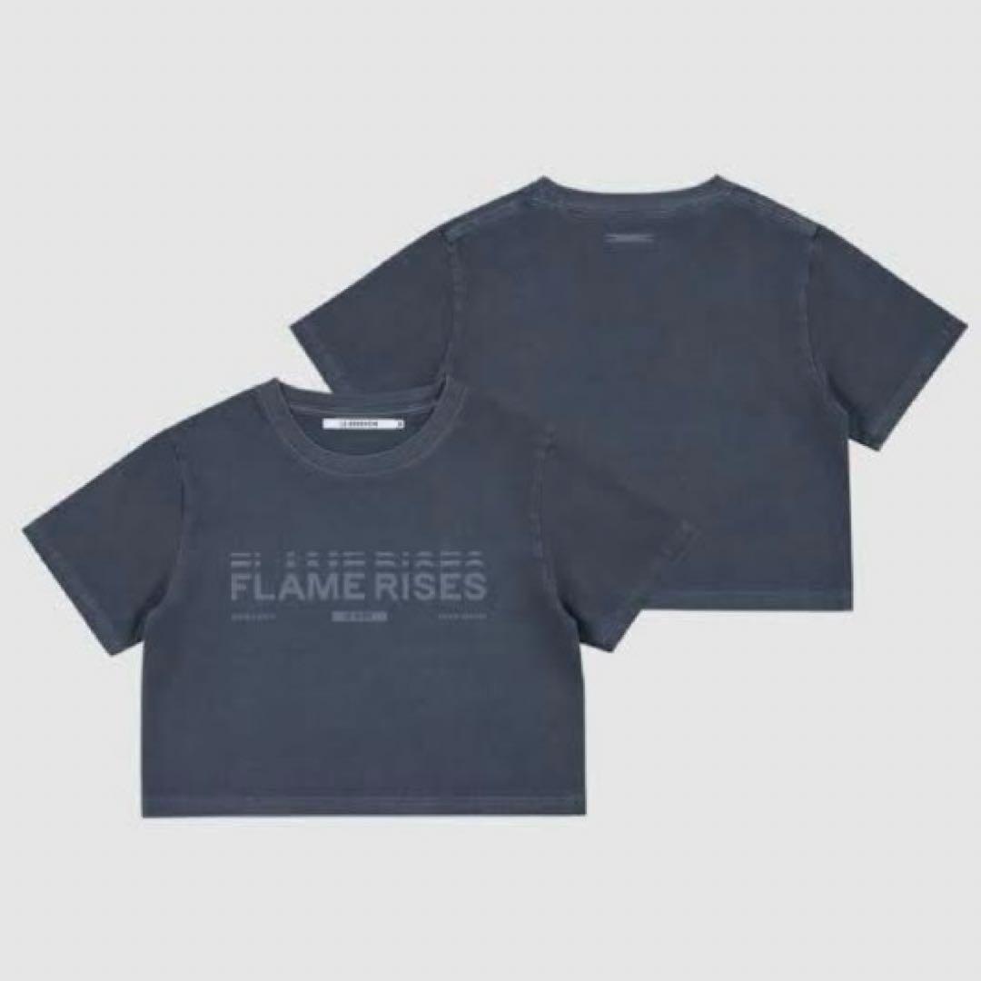 

[USED] Lu Seraphim Cropped T-shirt