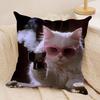 Funny Cat Meme Pillow Cover Short Plush Polyester Cushion Case Decor Throw Pillowcase Home Deco