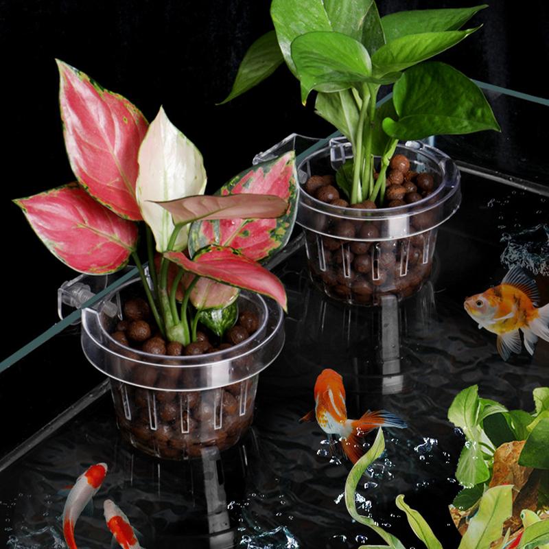 

Transparent hydroponic plant basket aquarium plant stand top hanging fish tank flower pot aquarium flower pot cup One size