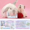 Novelty Easter Bunny ID Pass DIY Crafts Bunny Lost Driver's License Easter Rabbit Card  Party Gifts