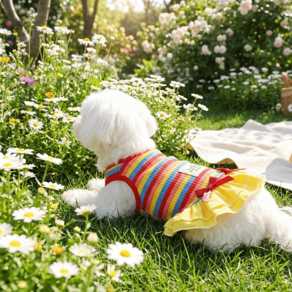 Ruffle Striped Dog Rainbow Striped Skirt Comfortable Dog Cooling Vest Dog Summer Vest Casual Wear