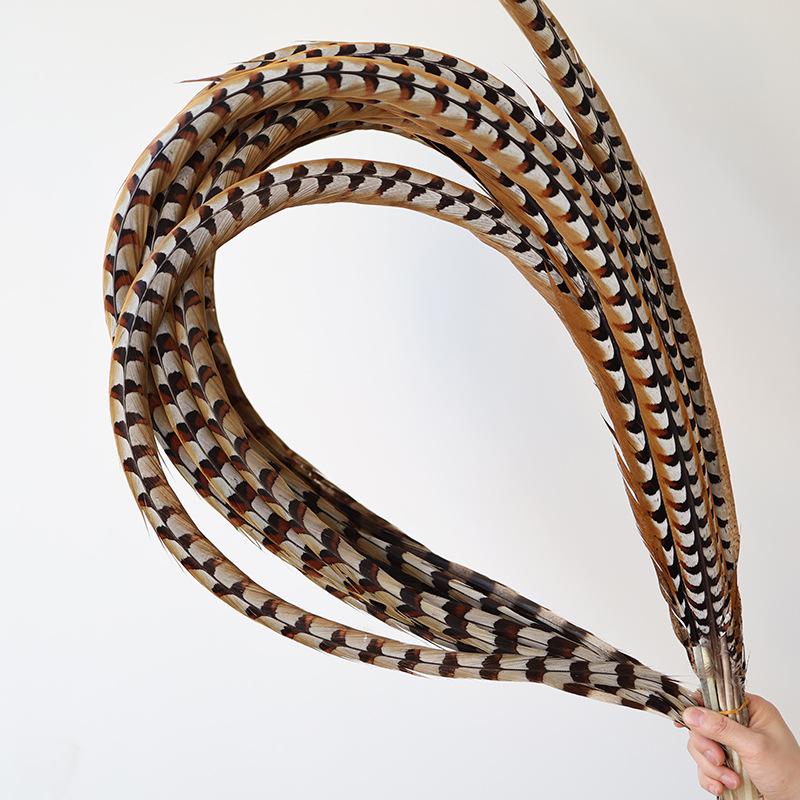 Pheasant Feather Long Plumes for Peking Opera Performance - Sun Wukong Theme