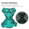 Luxury & Lovely Reflective Dog Accessories Soft Adjustable Harness Vest with Durable Leash for Dogs