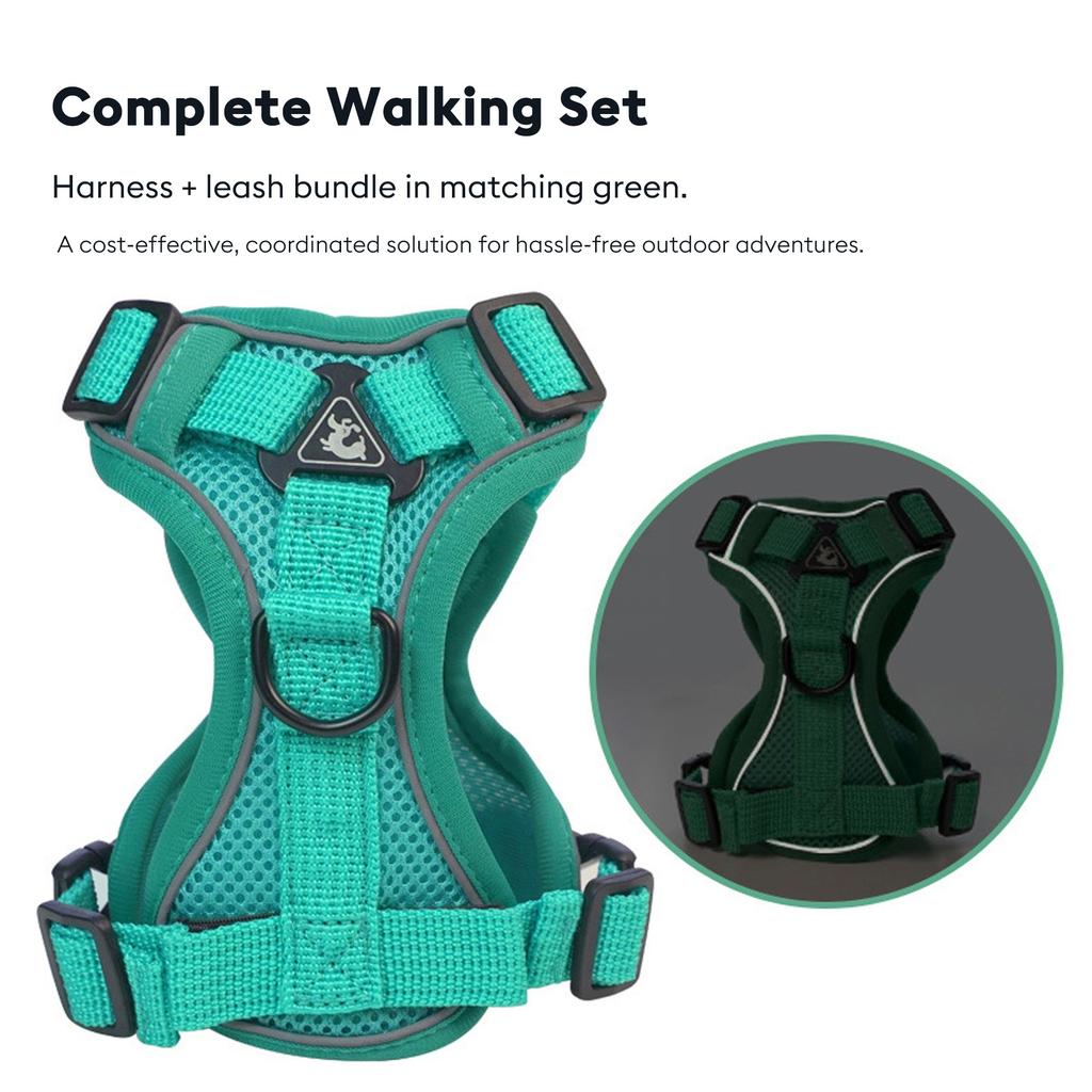 Luxury & Lovely Reflective Dog Accessories Soft Adjustable Harness Vest with Durable Leash for Dogs