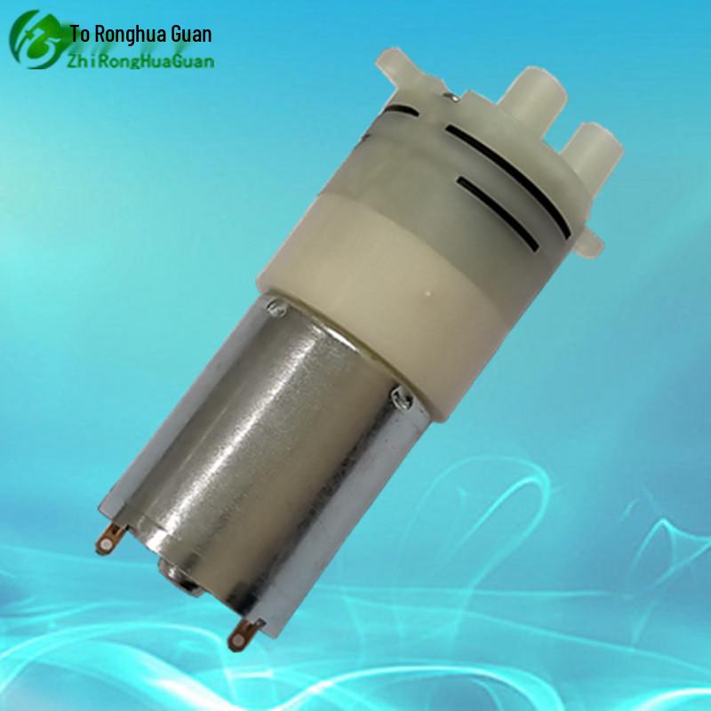 Ronghua Miniature Electric Self-Priming Water Pump for Household Use