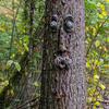 Old Man Whimsical Tree Face Statues Hugger Peeker Sculptures Easter Fairy Garden