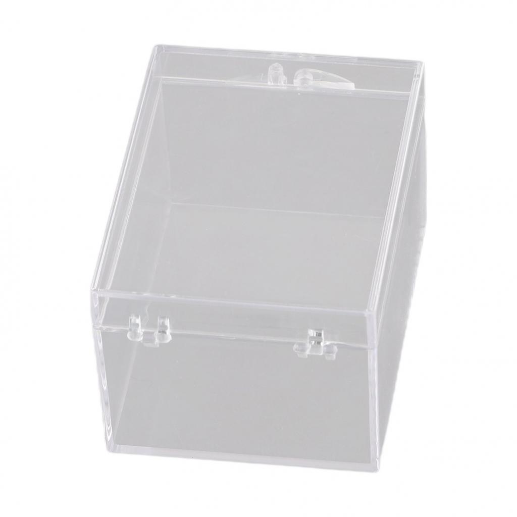 Premium Clear Plastic Storage Box for Insect Specimens Desktop Container