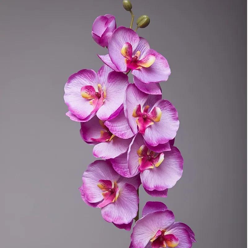 5pcs 9-Heads Artificial Butterfly Orchid Silk Flower 68CM Fake Phalaenopsis Wedding Home Decoration Artificial Flowers
