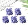 Multi-color Burned Edge Silk Hydrangea Hairpin – Creative DIY Hanfu Hair Accessory for Graduation Caps
