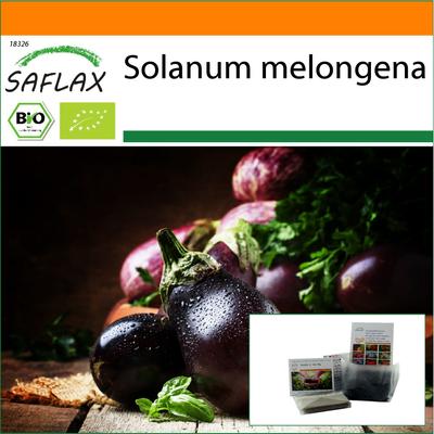 Garden in the Bag - Bio - Aubergine - Black Beauty - 25 Samen - Mit Substrat im passenden Standbeutel - Solanum melongena