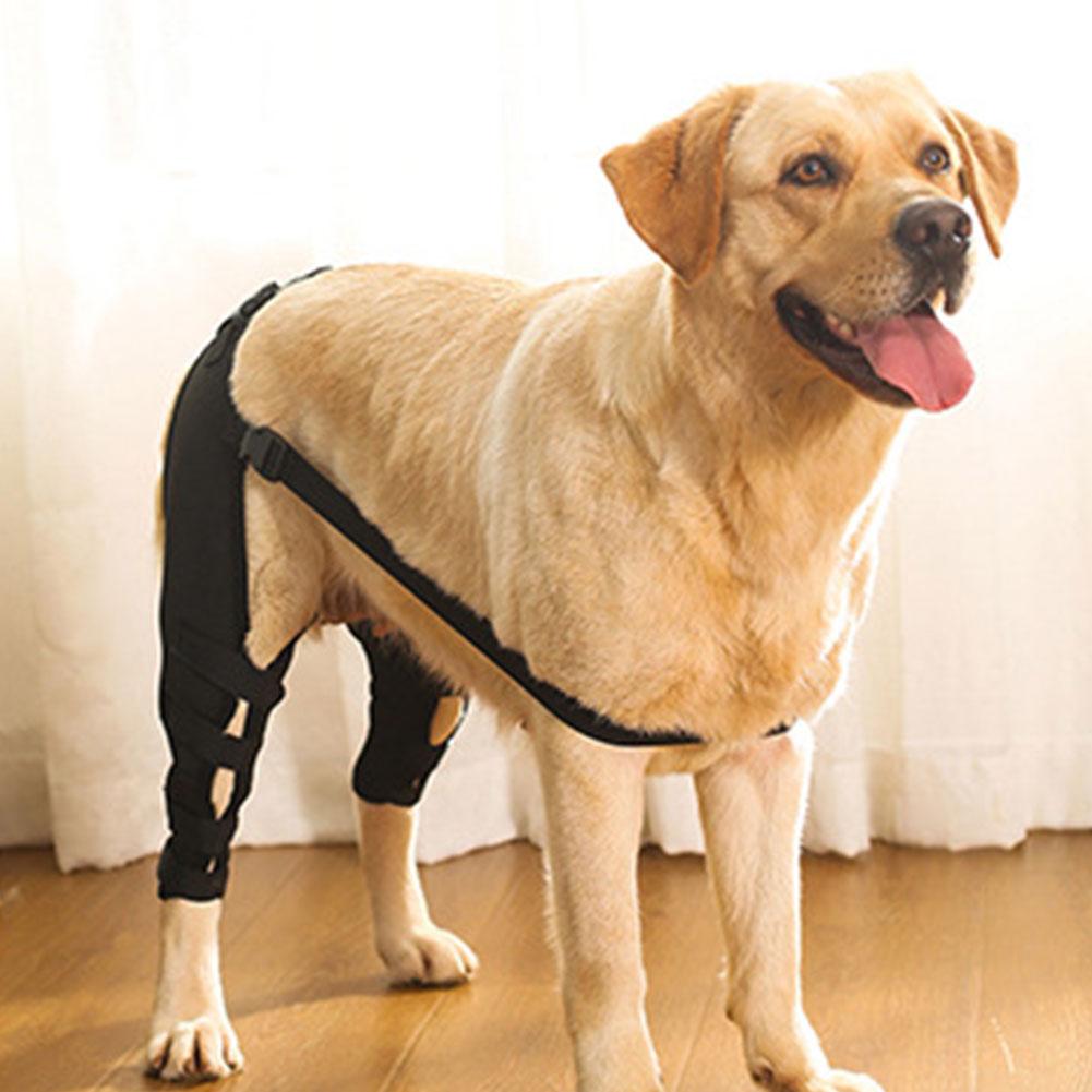 Knee Hip Joint Protector Dog Leg Support Brace Wound Recovery Prevent Injuries Canine Ligament Rehabilitation Accessory