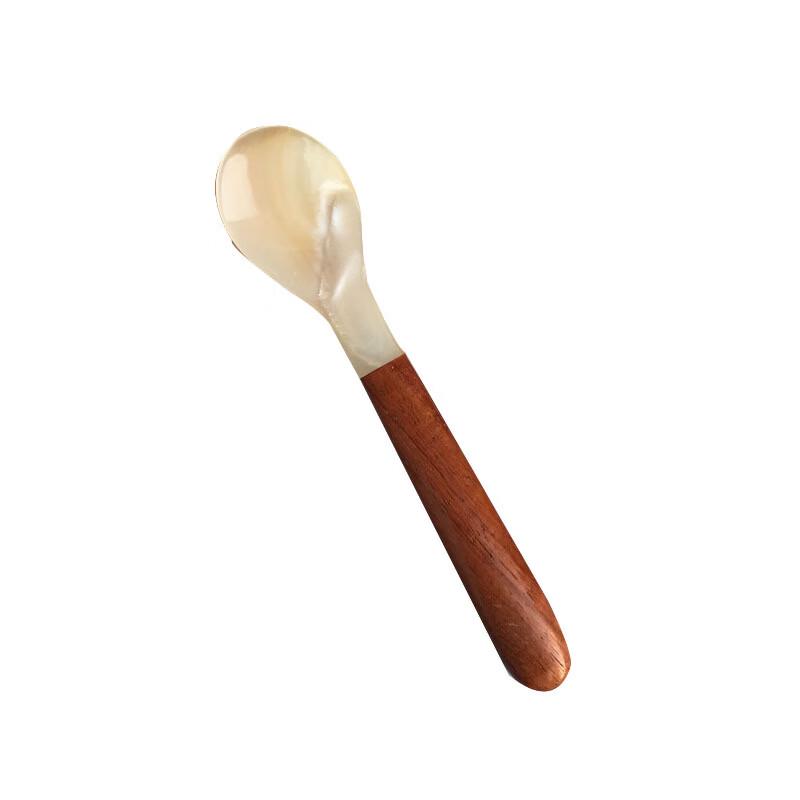 ZISIZ Decorative Sea Shell Spoon