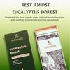 Calmveda Forest Eucalyptus Incense Sticks - 80 Charcoal Free Incense Sticks