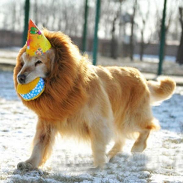 Pet Costume Lion Mane Wig For Dog Halloween Festival Dress Up Prop Fashion Gift