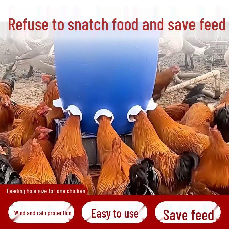 Mangeoire Automatique pour Volailles : Poulets, Canards, Oies et Pigeons