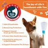 20Pcs Disposable Dog Booties | Dog Boots & Paw Protectors | Quickly Open The Disposable Dog Shoes | Waterproof Dogs Boots | Dogs Socks to Prevent