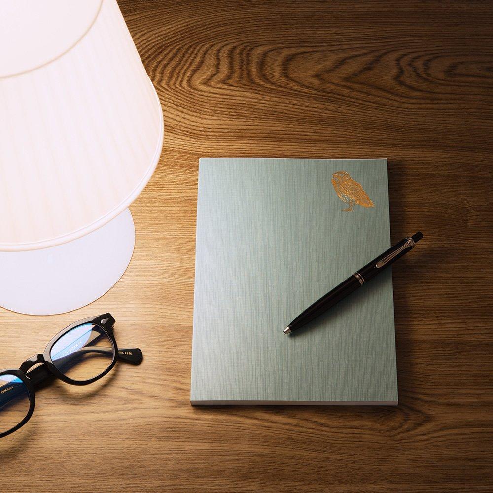 DESIGNPHIL MIDORI Diary Good Night A Owl 12870006