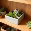 Woondecoratie – Decoratieve bloemen en kransen