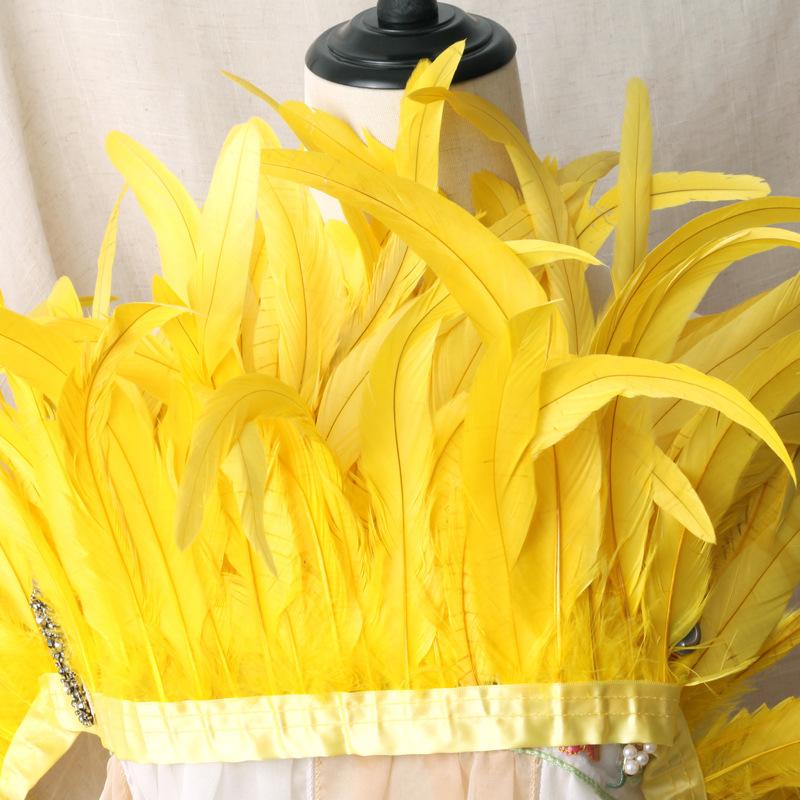 2 M/Piece Rooster Tail Fabric Edge Chicken Feather Fabric Strip Performance Clothing Skirt Fabric Belt Shawl Feather Decoration Clothing Accessories