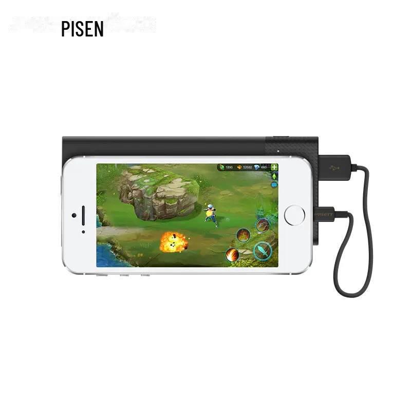 PISEN 0.2m Fast Charging Cable for iPhone