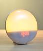 Wake Up Light Alarm Clock with Sunrise/Sunset Simulation Dual Alarms FM Radio Nightlight 7 Colors Natural Sounds Snooze