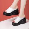 Summer New Women's Sandals, Thick Sole High Heel, Open Toe Simple Classic Design, Outdoor Wedge Casual Shoes