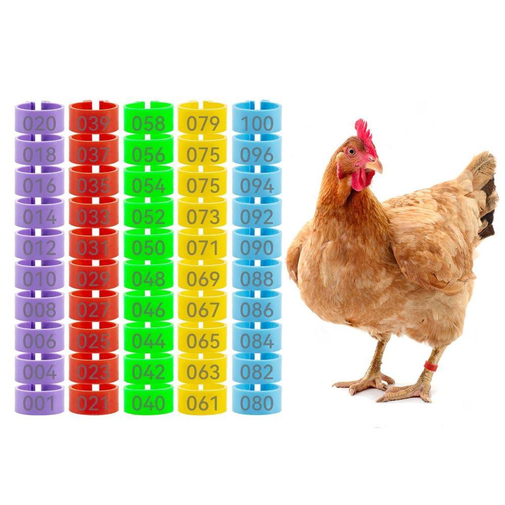 100pcs Portable Poultry Ankle Bands Mixed Colour Bird Leg Sign Rings  Poultry Accessories
