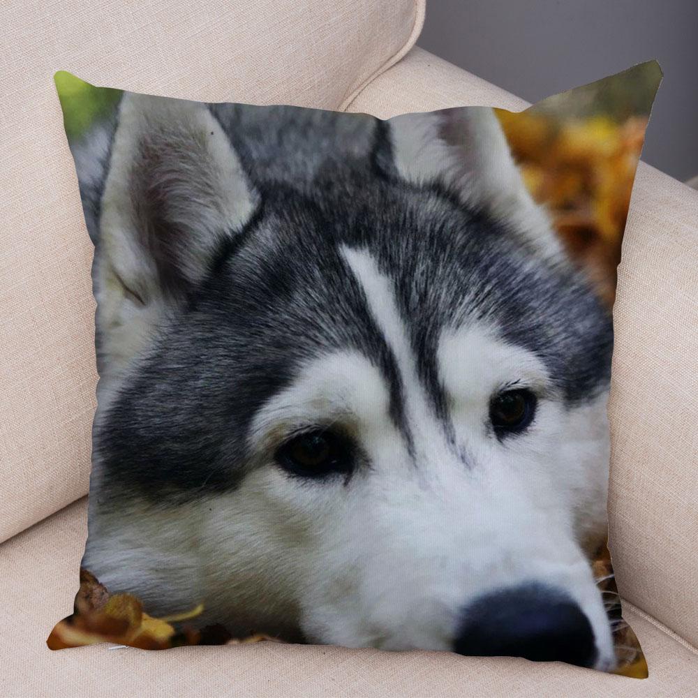 Decor Cute Siberian Husky Pillowcase Pet Dog Printed Super Soft Short Plush Pillow Case 45*45cm Animal Cushion Cover for Sofa