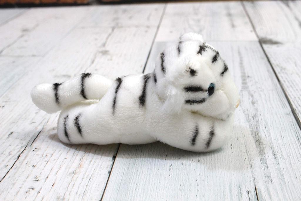 Safari Magnet White Tiger