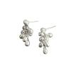 Silver grape string fringed earrings women's niche unique design sense fashion studs exquisite versatile temperament earrings