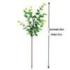 Nordic DIY Eucalyptus Branch for Wedding Decor