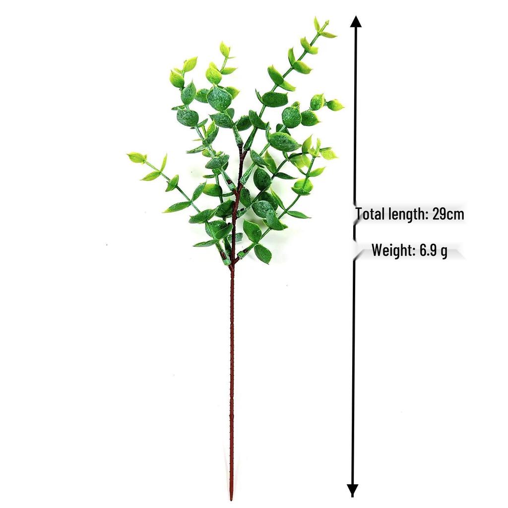 Nordic DIY Eucalyptus Branch for Wedding Decor