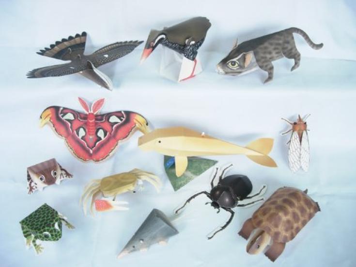 Rzadkie Naucz się i Twórz Rzemiosło Papierowe z 12 Czerwonymi Stworzeniami Stworzenia Okinawy Wybrane na podstawie Danych