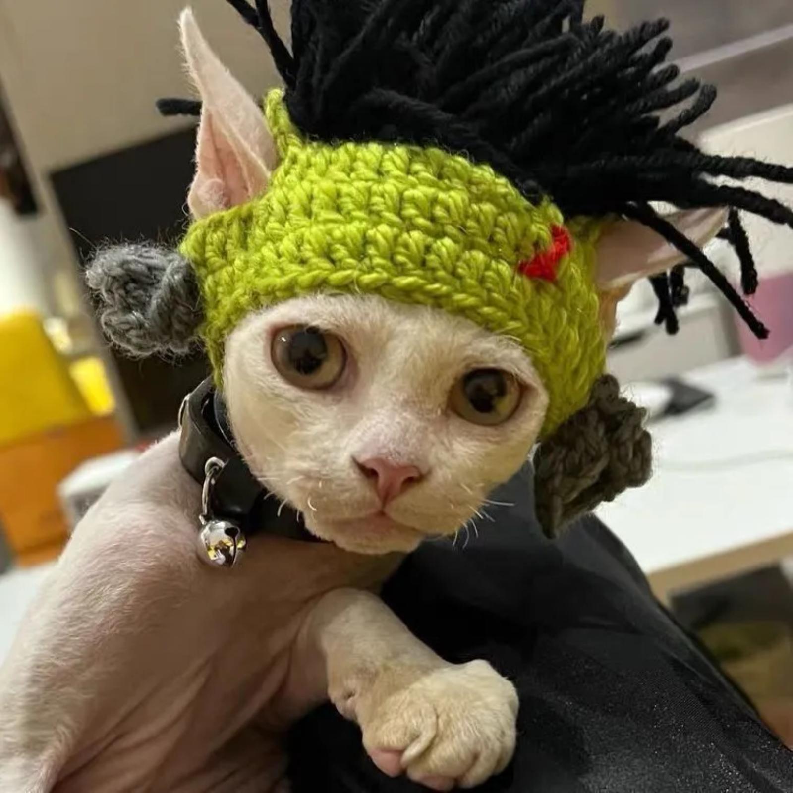 

Смешная Вечеринка Панк Креге Украсить Шляпу Для Безволосых Сфинксов Головной Убор Кошки One Size