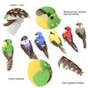 12Pcs Colorful   Artificial Simulated Bird  Home Garden Wedding Decoration