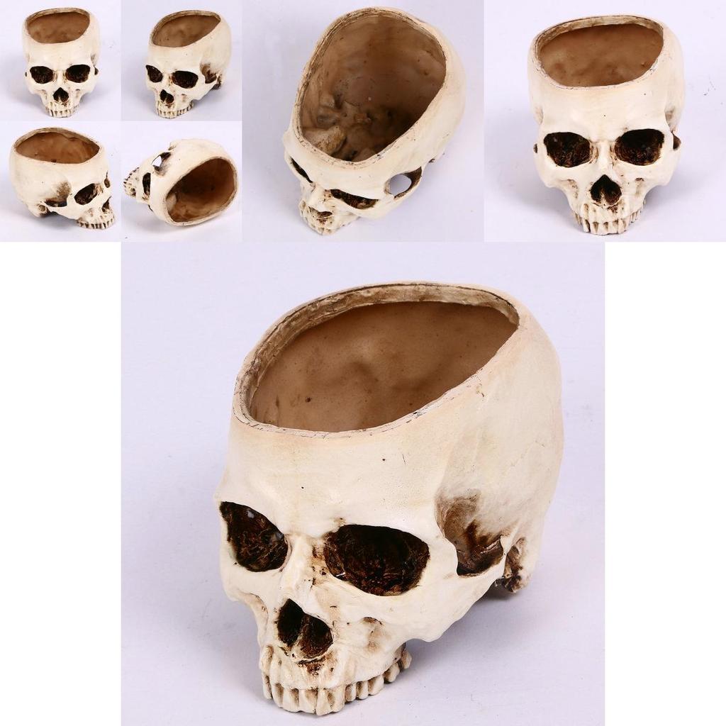 Premium Resin Human Skull Head Design Flower Pot Planter For Unique Home Decor