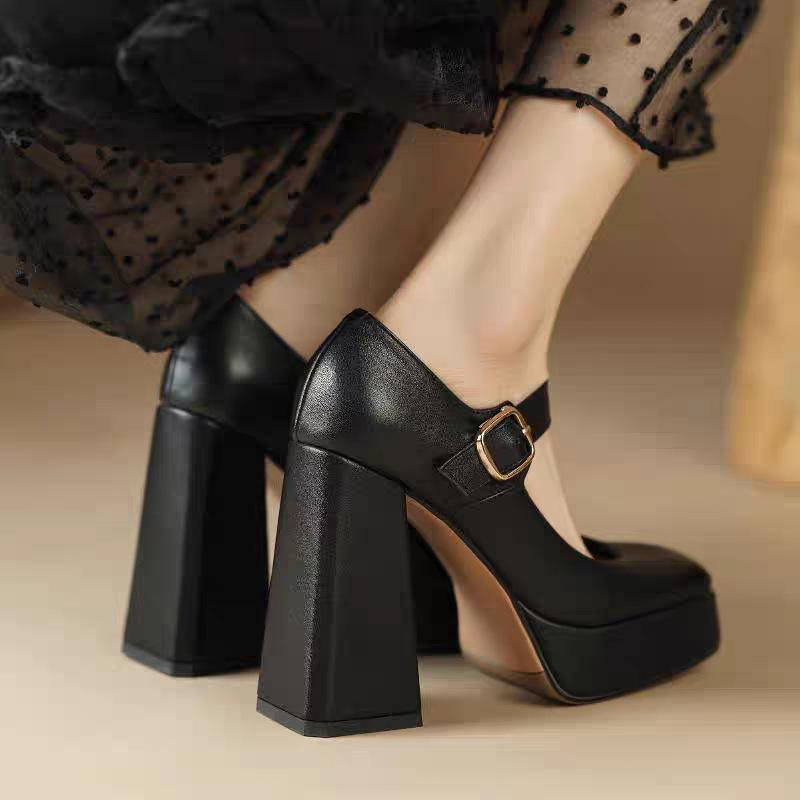 Black French Temperament Shallow Mouth Mary Jane Shoes Women's 2024 Spring New Waterproof Table Sexy Women's High Heels