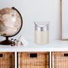 Mini Trash Can Stainless Steel Lidded Desktop Dustbin for Office Home Study Room Tabletop Garbage Holder Small Rubbish Bin