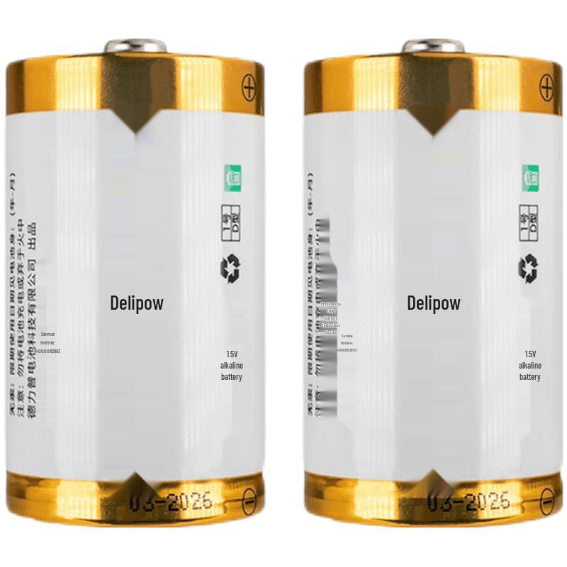Delipow D Cell 1.5V Alkaline Batteries CN Plug (adapter Included)