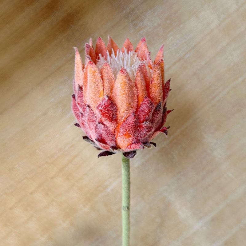 1PC,Europe Style Beautiful Artificial Flowers Fake King Protea Home Table Top Display Flowers Decorative Silk Flower
