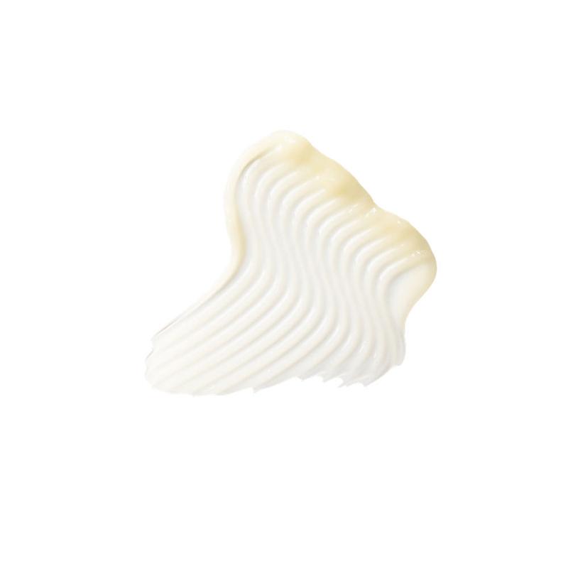 [V&A] Rosepeptide Antioxidant Hydration Cream 50ml