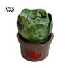 Magnetic Locker Accessory Cartoon Potted Cactus Fridge Magnet Resin 3D Mini Refrigerator Plants Kitchen Home Office Decoration Cabinet Decor