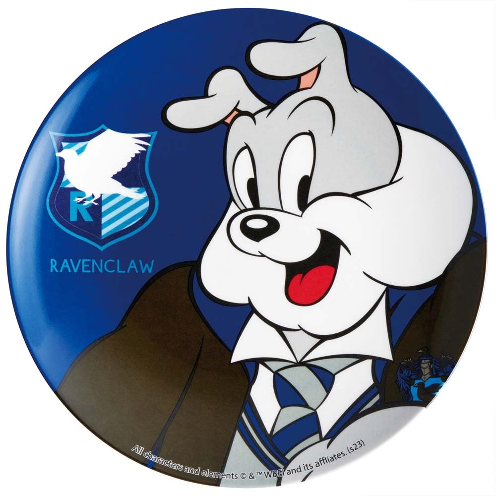 

Skater Thin Melamine Stylish Character Breakfast Plate with Tom Harry Ravenclaw Plate, 20cm, & Jerry, Potter, Spikes, MPL20P-A