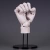 20CM 1:1 Hand New Left Hand Model Finger Joint Biomimetic Finger Joint Painting PVC Action Figure Kids Gift