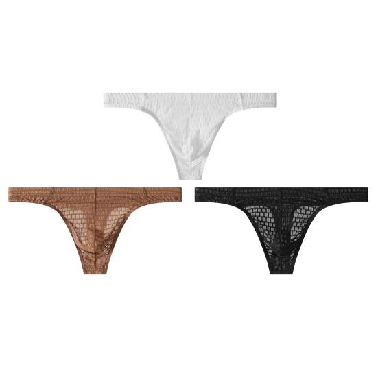 2Pcs Men Briefs Thin Perspective Mesh Yarn Sexy Low-Waisted Seamless Panties Breathable Embossed Fabric Underwear Daily Wear