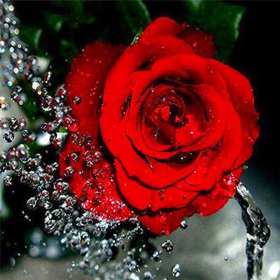 Vollständige 5D-Diamantmalerei zum Selbermachen, schöne Rose, Diamantstickerei, Kreuzstich, Heimdekoration, handgemachtes Geschenk