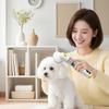 Hot Sale Pet Hair Dryer Dog Grooming Dryer Brush 3 In 1 Hot Air Comb for Dog Hair Straightening and Combing Pet Supplies
